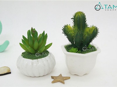 Chậu hoa giả để bàn Sen đá nhí số 64